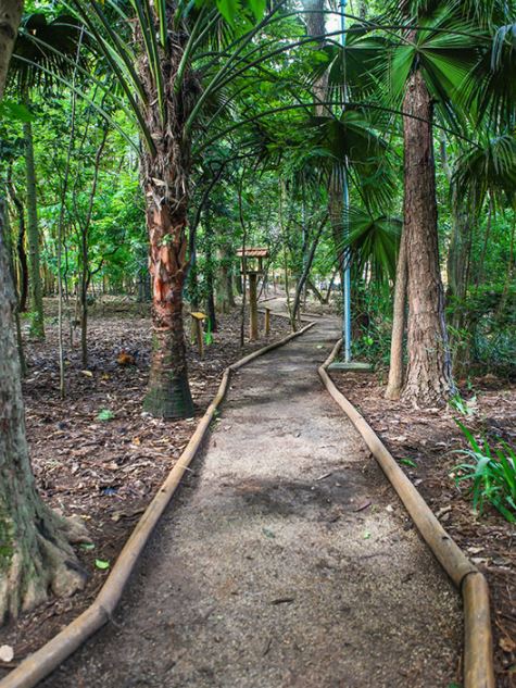 parque ab 3.JPG (107 KB)